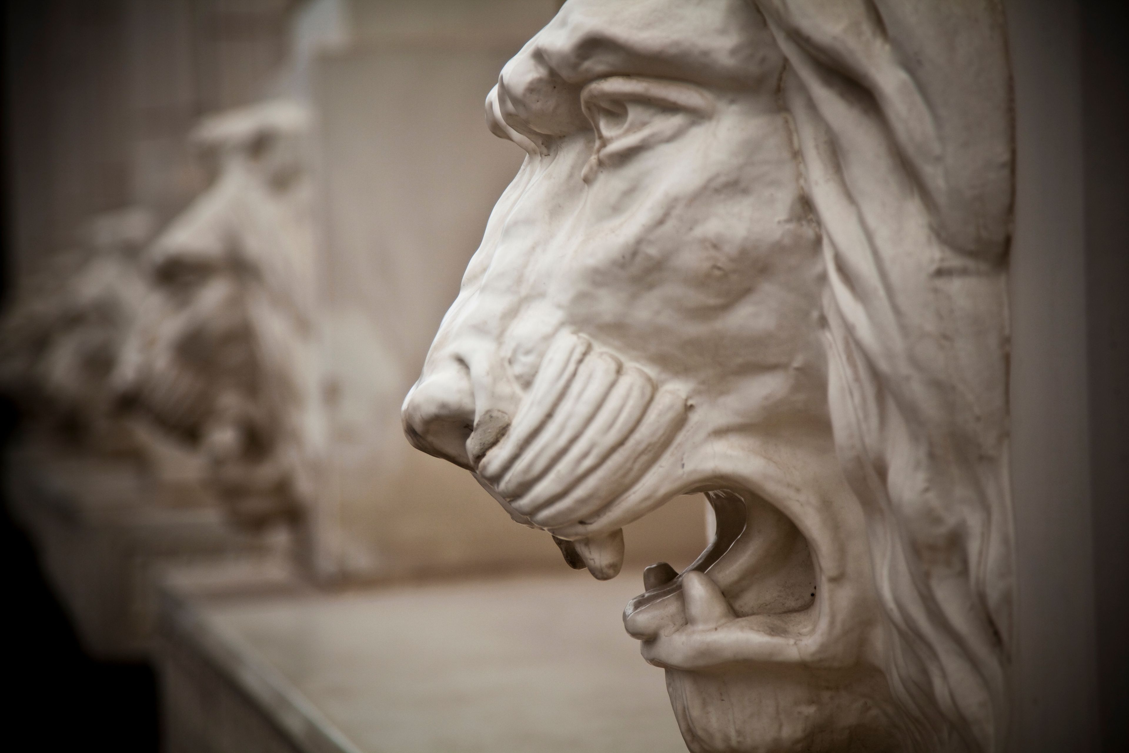 A side view of lion heads on the Joseph Smith Memorial Building in Salt Lake.  