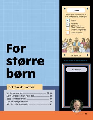 Pdf-udgave af beretning