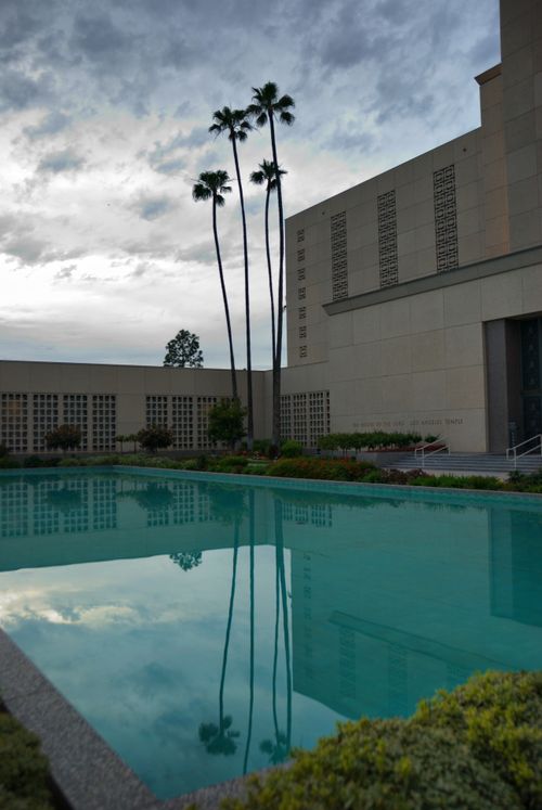A pool of water near the Los Angeles California Temple, with three tall palm trees near the temple being reflected in the water.
