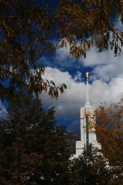 The spire on the Mount Timpanogos Utah Temple, seen framed by the branches and leaves of trees on the temple grounds.