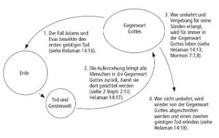 circle diagram