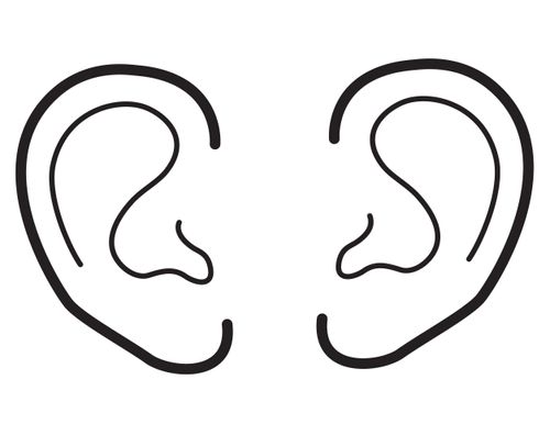 An illustration of two ears.