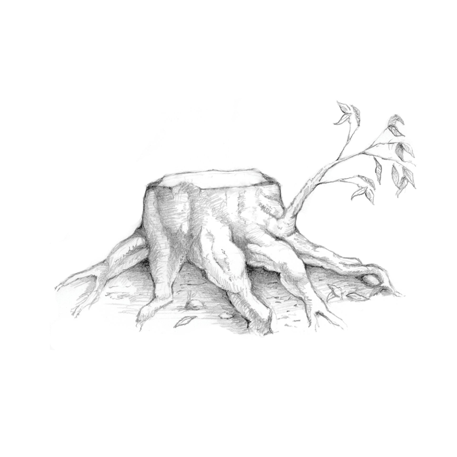An illustration of a tree stump with a small branch growing near the base, representative of the stem of Jesse.