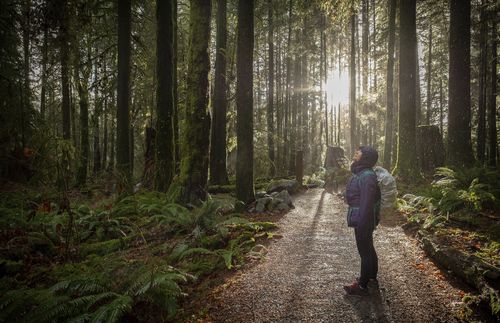 woman hiking in forest during rainfall