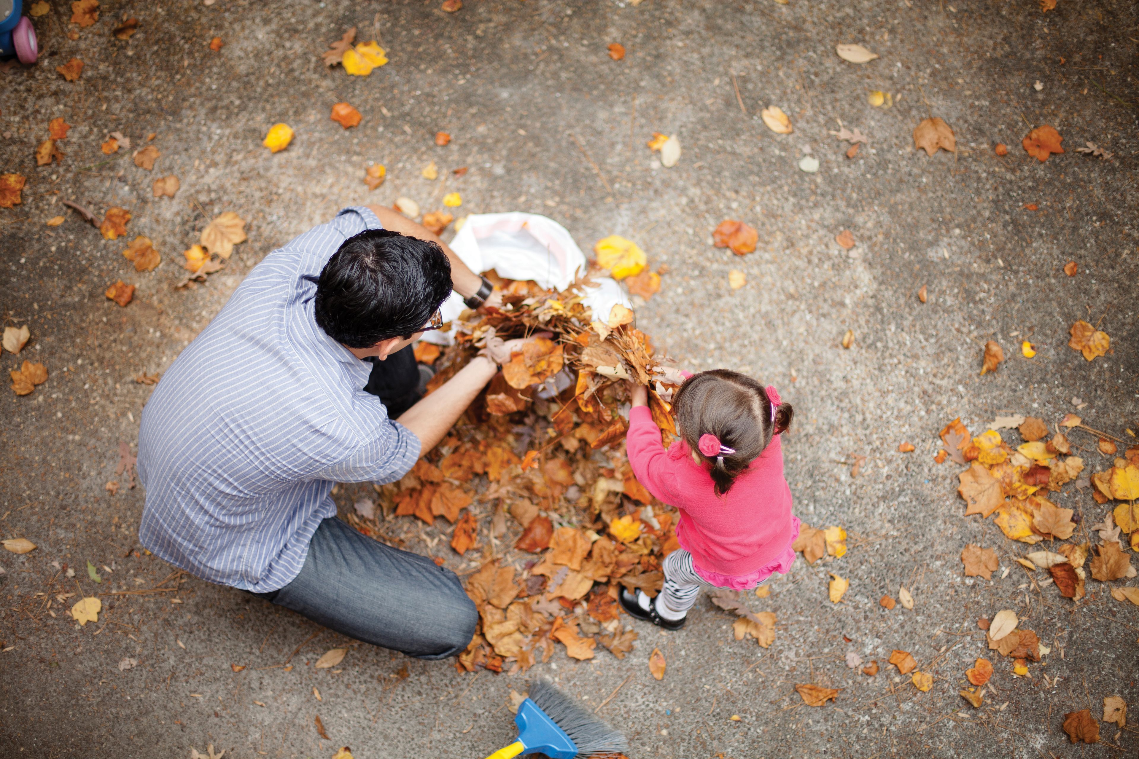 A daughter helps her father gather leaves.