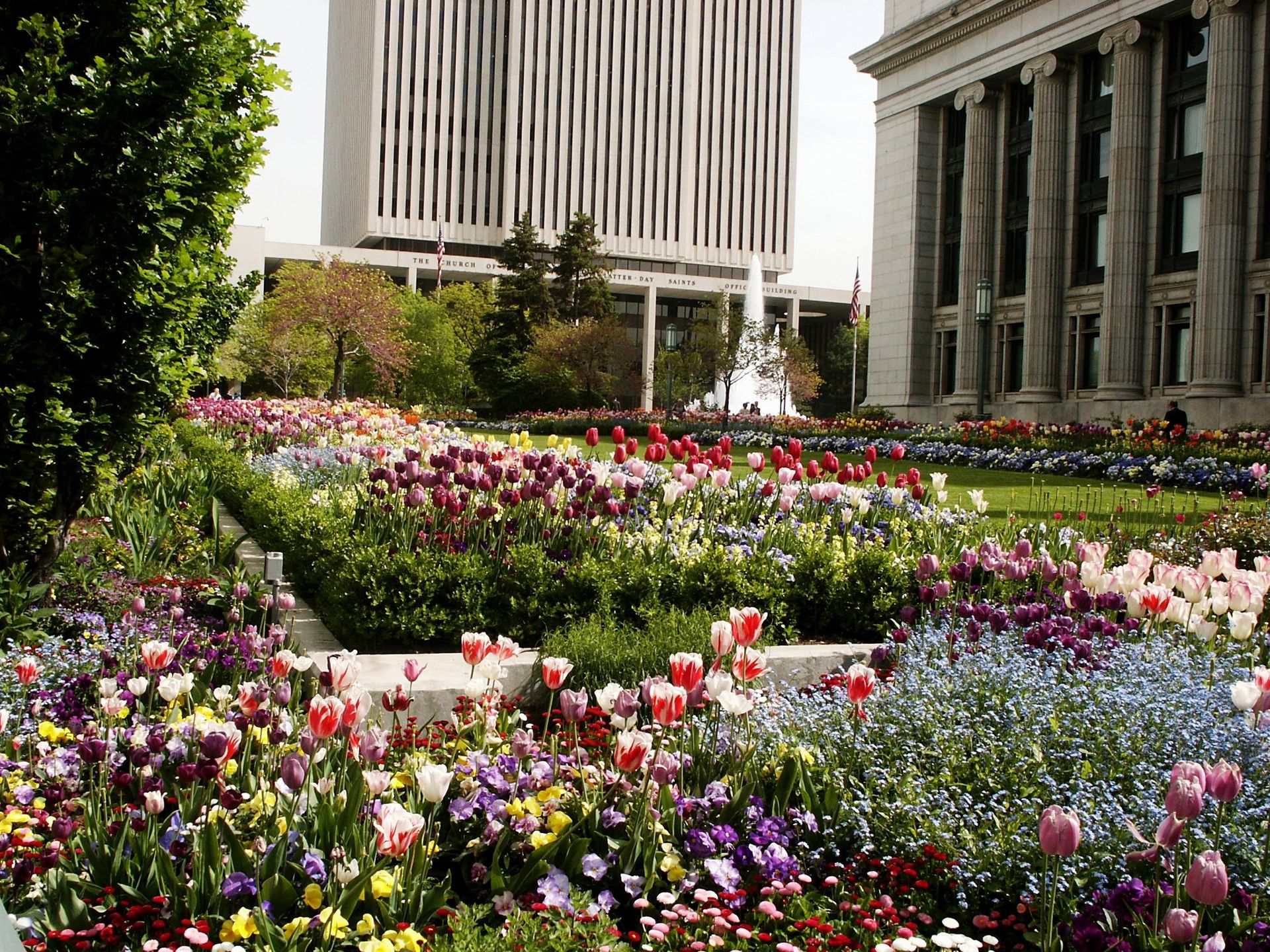 The flower beds next to the Church Administration Building filled with spring flowers.