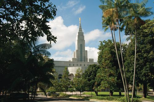 A partial view of the Recife Brazil Temple, with trees and bushes on the temple grounds in the foreground.