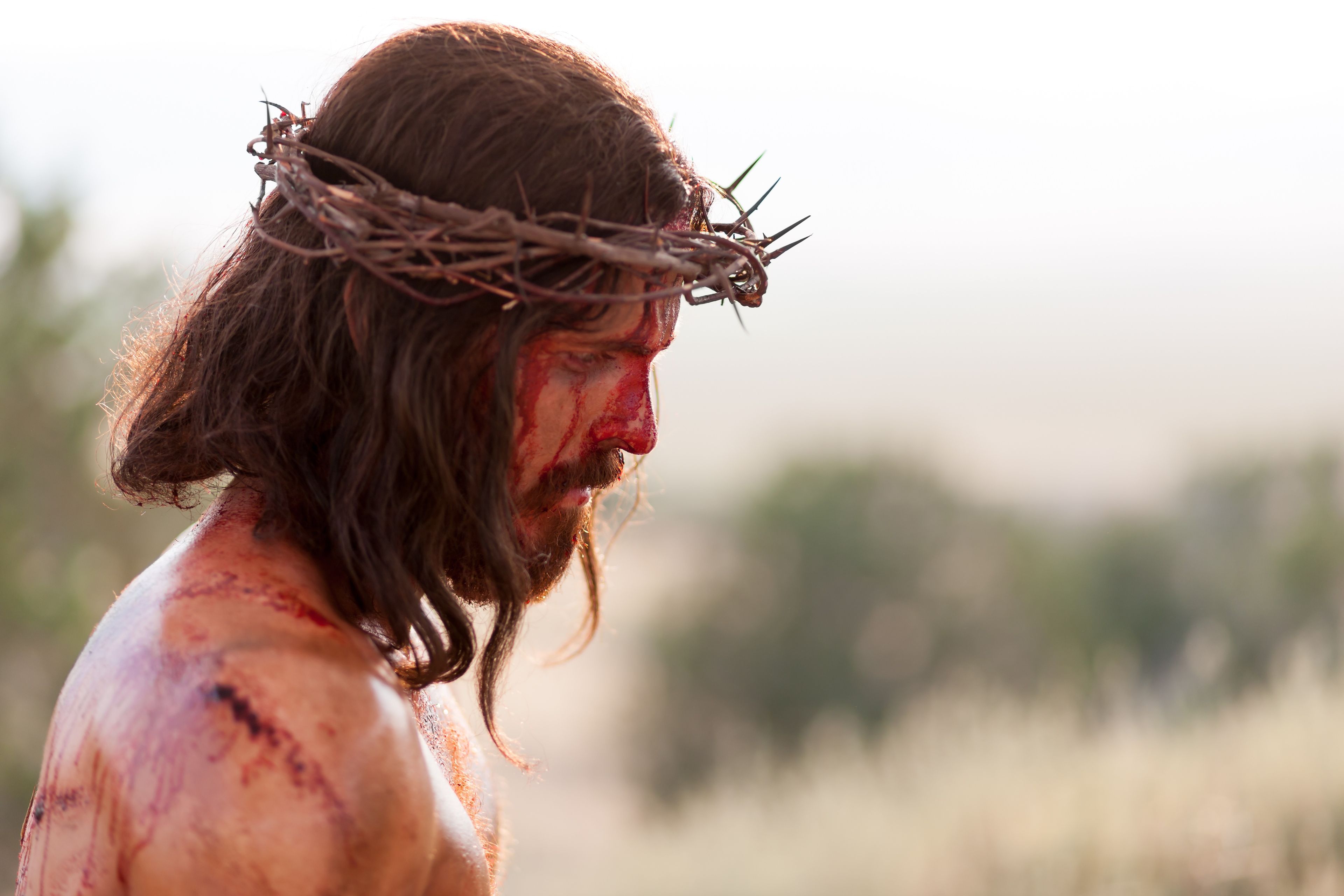 Cristo lleva una corona de espinas en el día de Su crucifixión.