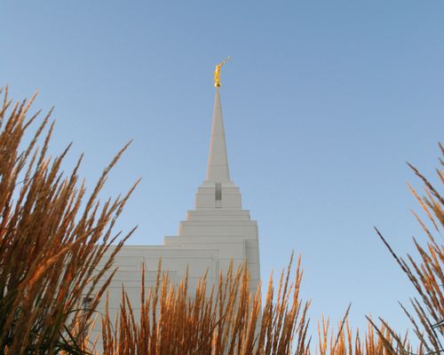 A view of the Rexburg Idaho Temple spire, with tall grass framing the image.