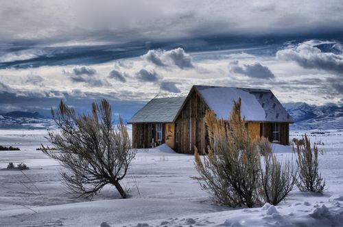 A cabin in a snow-covered field, with bushes around it and clouds in the blue sky.