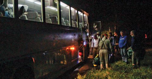 youth getting on a bus