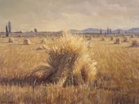 sheaves in a field