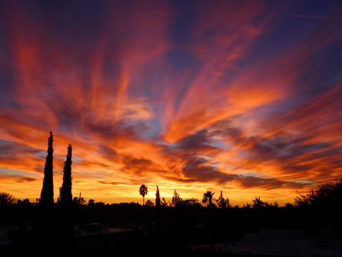 A sunset in Arizona turns clouds orange, yellow, and purple against a darkening blue sky with silhouettes of palm trees below.