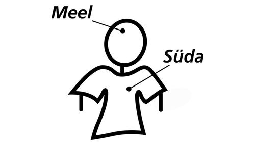 meel ja süda