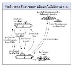 การเดินทางในโมไซยาห์ 7–24