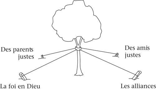 tree with supporting stakes