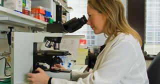 a scientist using a microscope