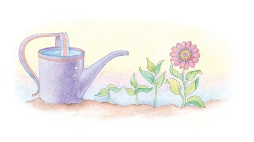 A watercolor illustration of a purple watering can filled to the brim with water. Next to it is a row of sprouts, each more fully grown than the last.