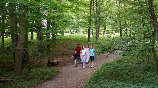 Various people walk the paths around the Sacred Grove. There are lots of trees around and everything is very green. The families are all walking on dirt pathways.