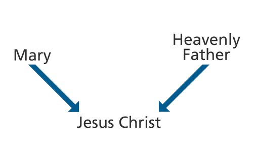 Diagram with the words Mary and Heavenly Father and arrows pointing to the words Jesus Christ.