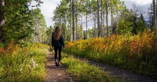 person walking on a path