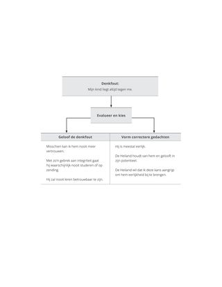 voorbeelddiagram denkfout