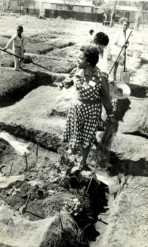 Julia working in a community garden