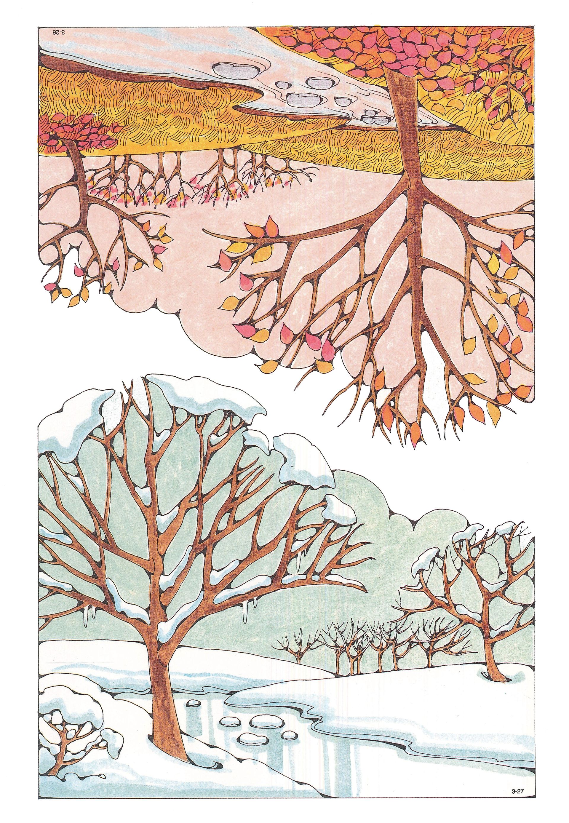 Primary Visual Aids: Cutouts 3-26, Fall; 3-27, Winter.