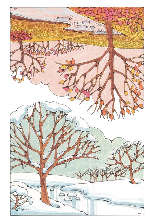 Two Primary cutouts of a fall scene with a river by trees with leaves in changing colors, and a winter scene with a frozen river surrounded by snow.