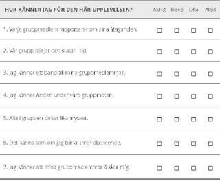 gruppens utvärdering