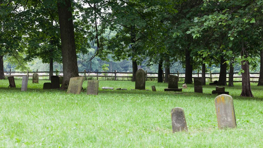 A cemetery with overgrown green grass, large trees, and weathered headstones scattered throughout. 