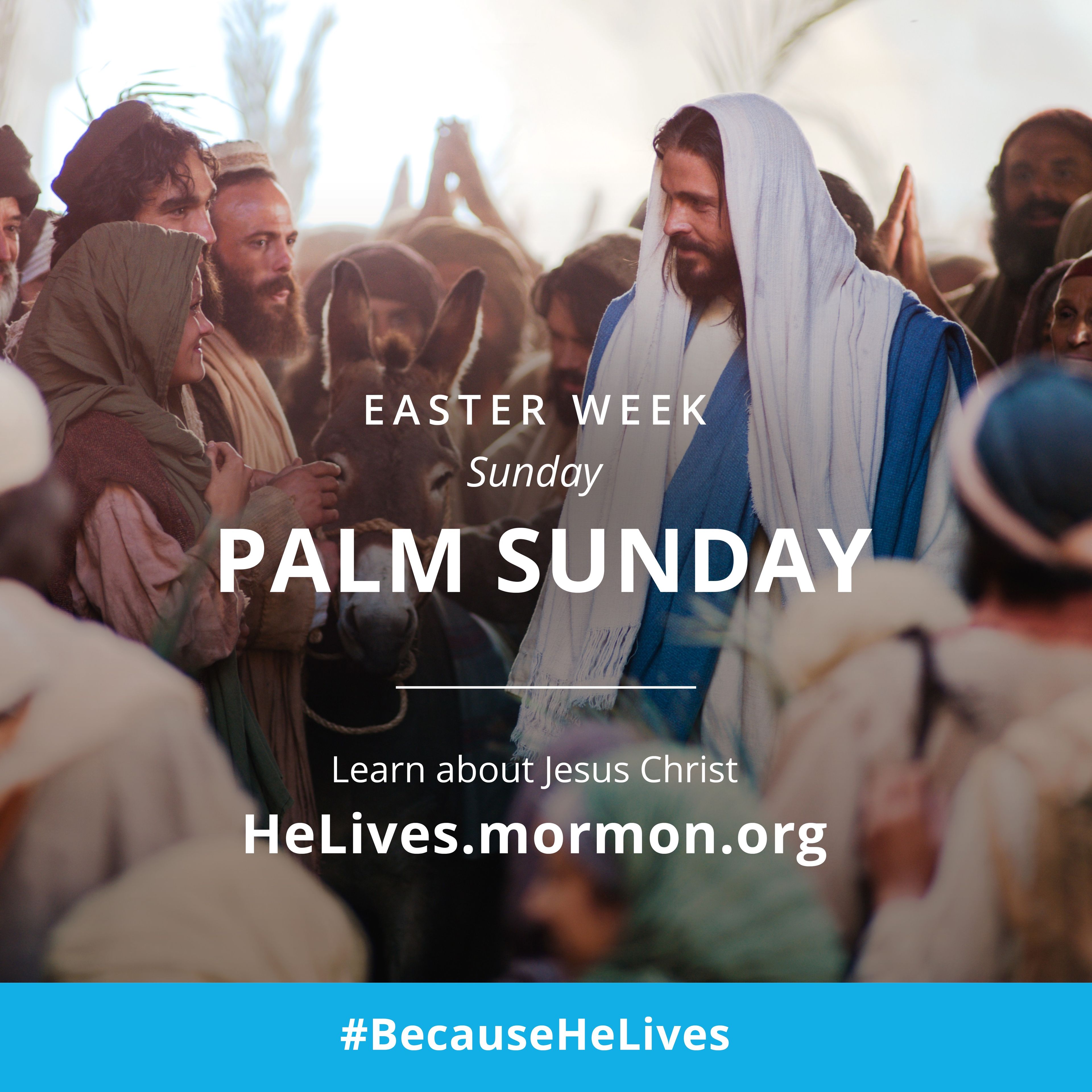Easter week, Sunday: Palm Sunday. Learn about Jesus Christ. #BecauseHeLives, HeLives.mormon.org