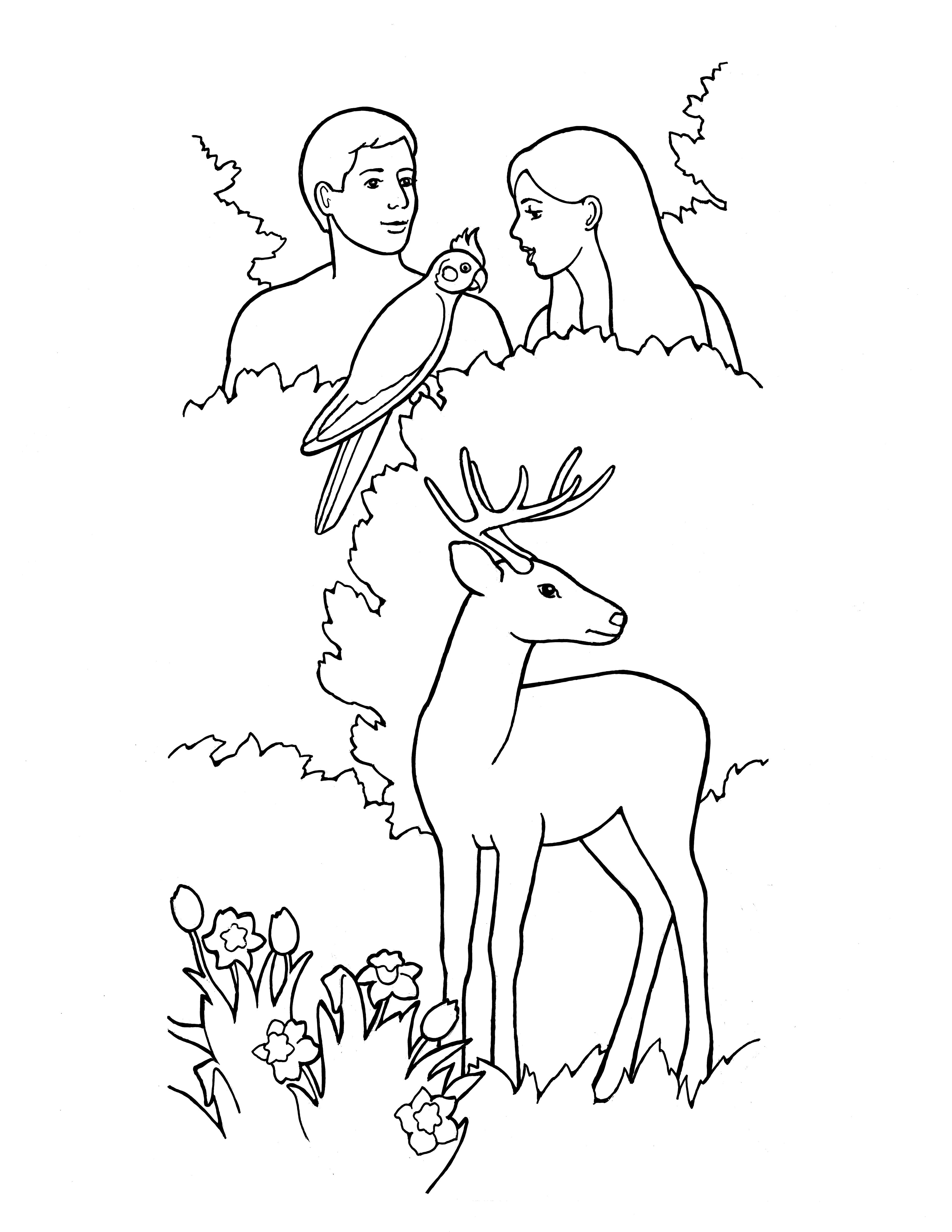 adam and eve lds coloring pages