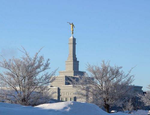 The Edmonton Alberta Temple spire and angel Moroni on a sunny winter day, with snow-covered tree branches in the foreground.