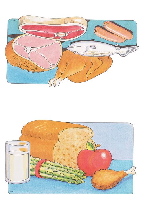 Two Primary cutouts, one of various meats including poultry, fish, and beef, and the other of bread, milk, an apple, asparagus, and chicken.