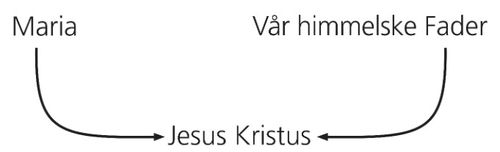 oversikt, Kristi arvede egenskaper