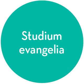 ikona studia evangelia