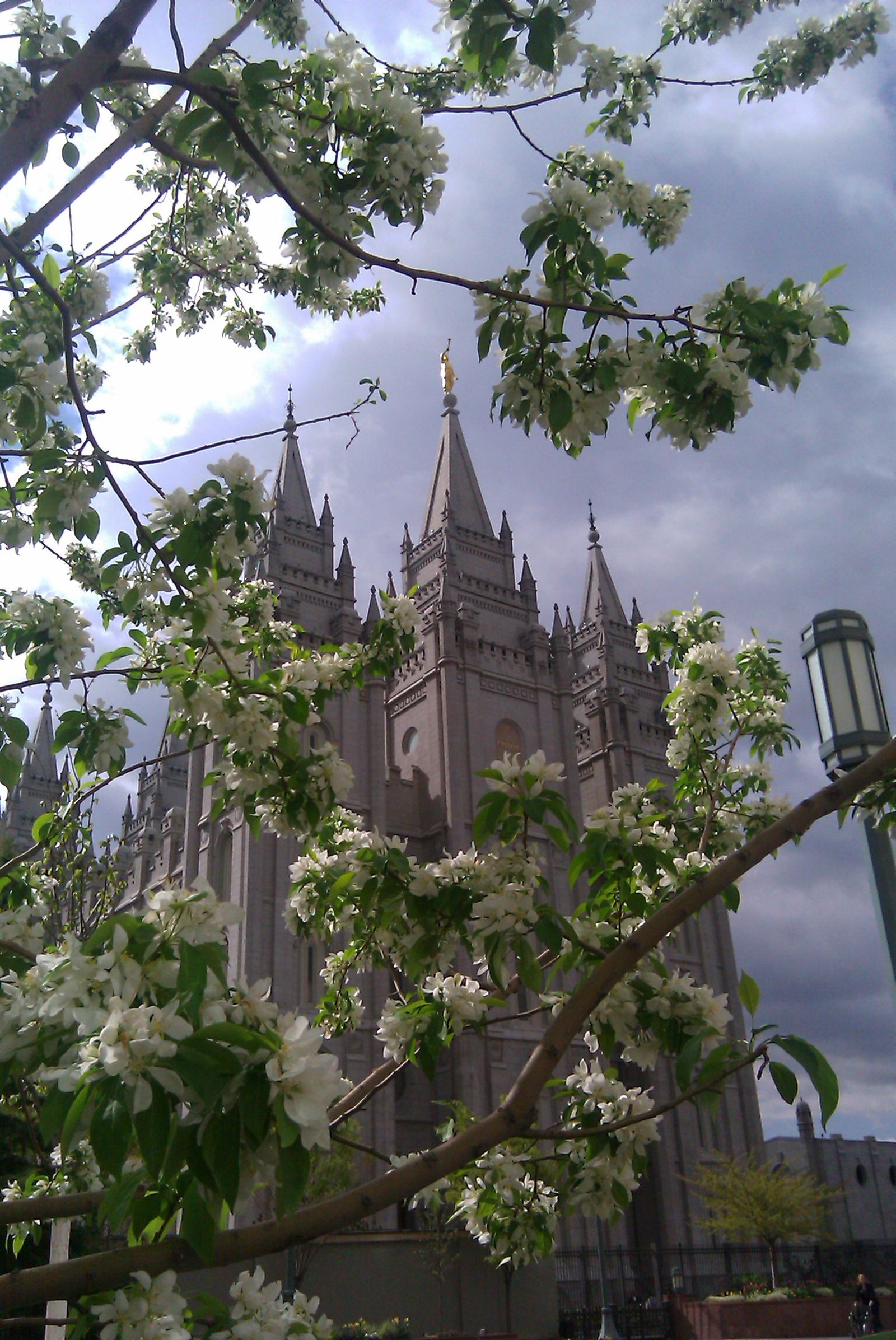 The Salt Lake Temple, including scenery.