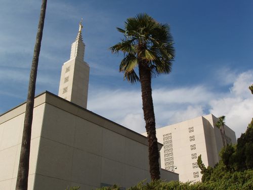 The spire of the Los Angeles California Temple, with a large palm tree growing to the right.