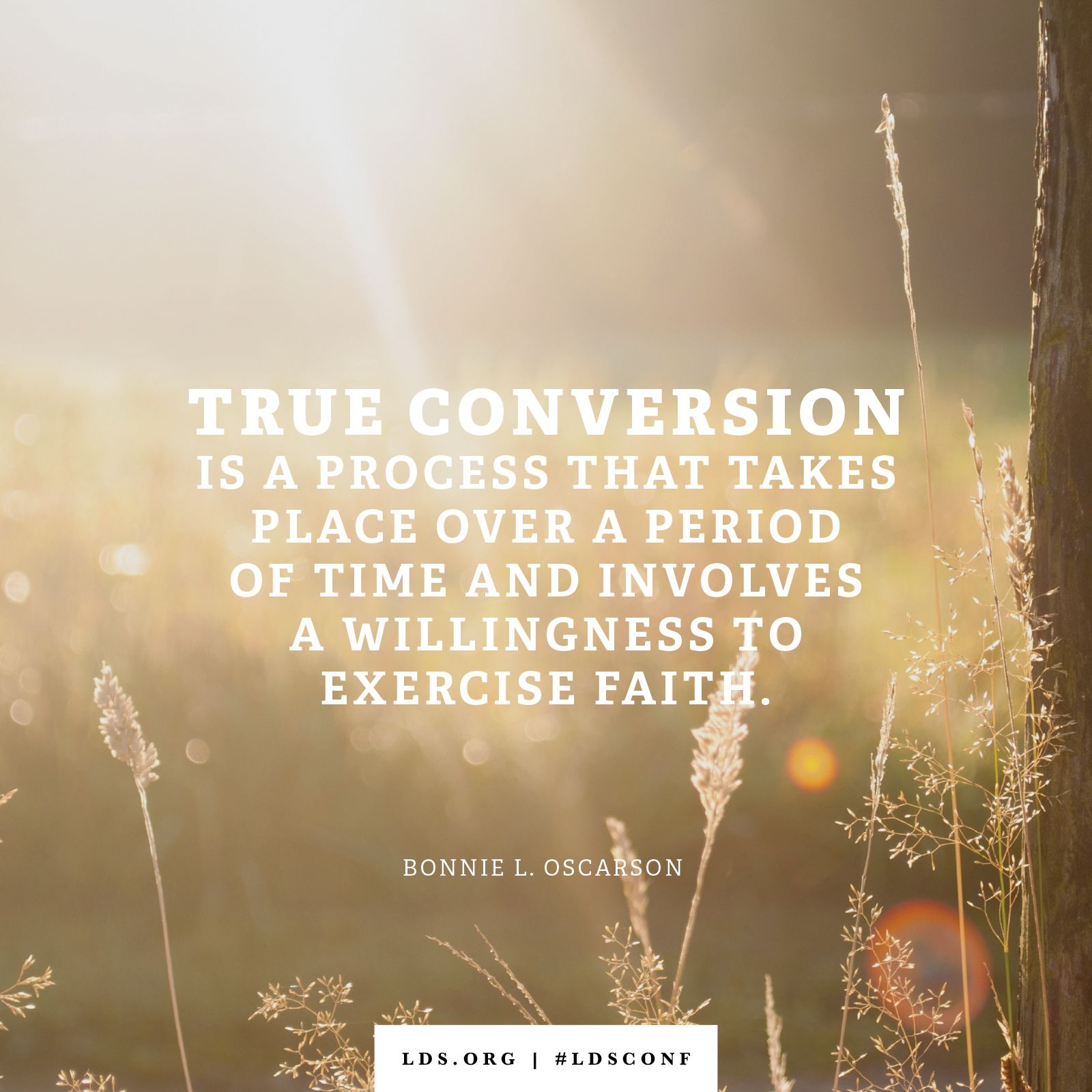 “True conversion is a process that takes place over a period of time and involves a willingness to exercise faith.” —Sister Bonnie L. Oscarson, “Do I Believe?”