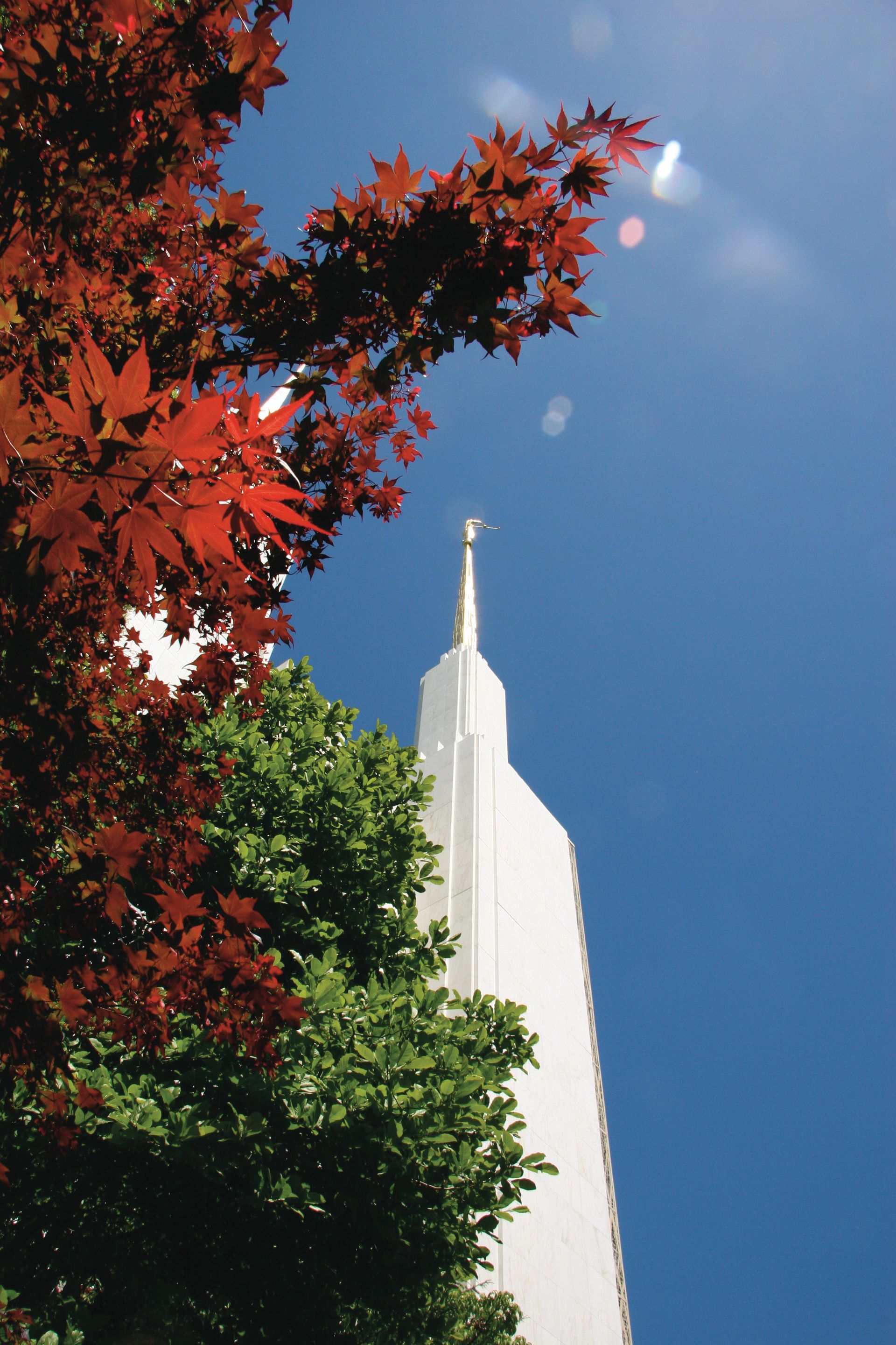 A spire of the Washington D.C. Temple, with scenery.