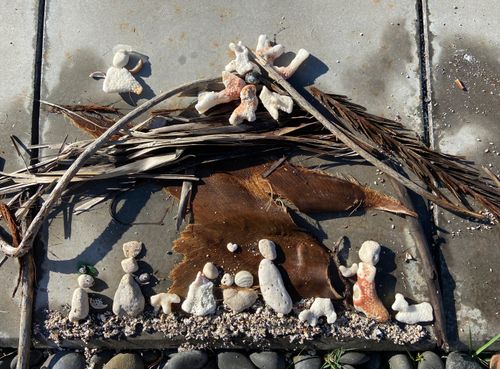 Nativity made out of things from nature