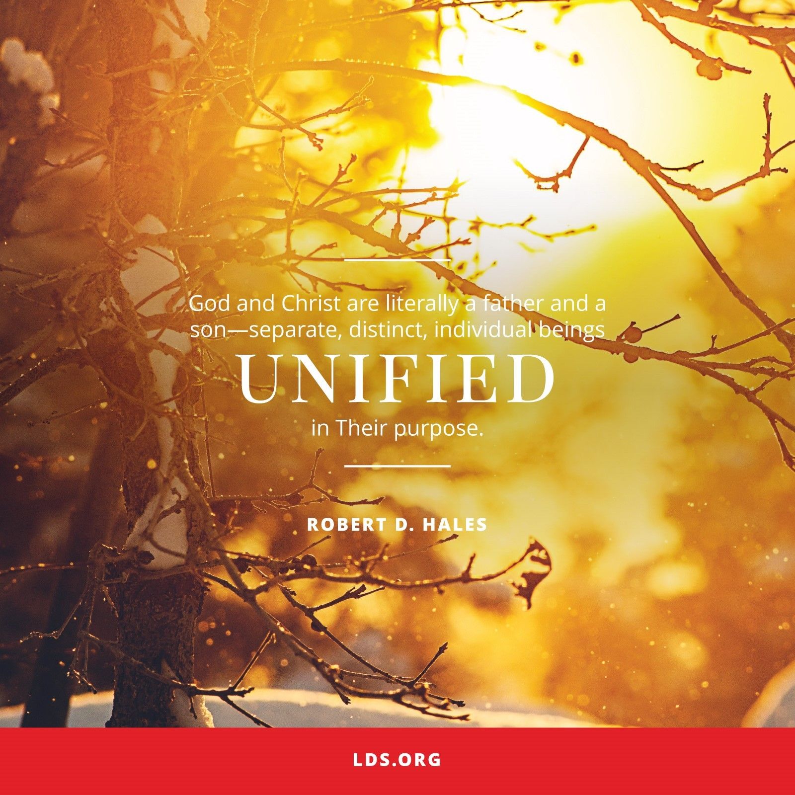 Unified in Purpose