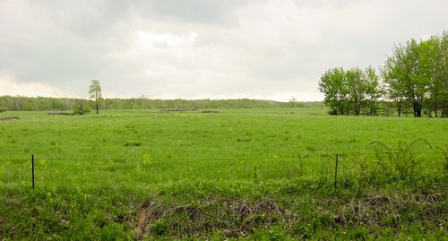 Leman Copley farm landscape, Thompson, Ohio