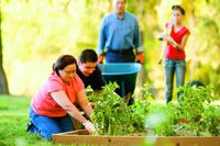 A family working in a garden.