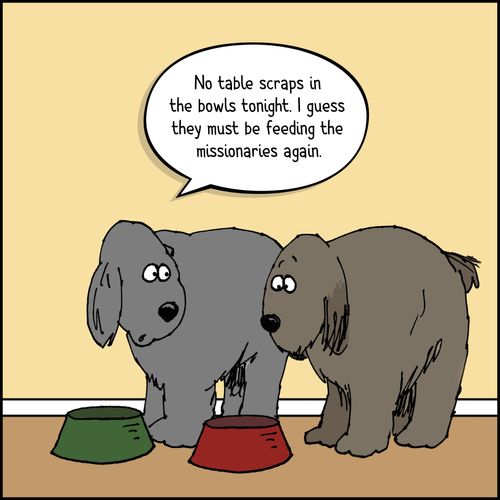 dogs at food dishes