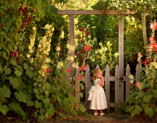 Children - Young Girl in Hollyhock Flowers