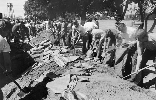 people filling potato sacks with sand