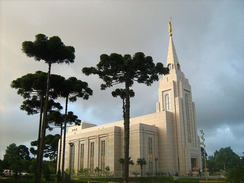 A side view of the Curitiba Brazil Temple, with a large cluster of green trees growing on the temple grounds.