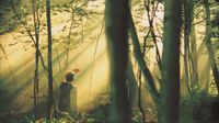 Joseph Smith, Jr. kneeling in the Sacred Grove during the First Vision.  There are shafts of light shining down on Joseph.